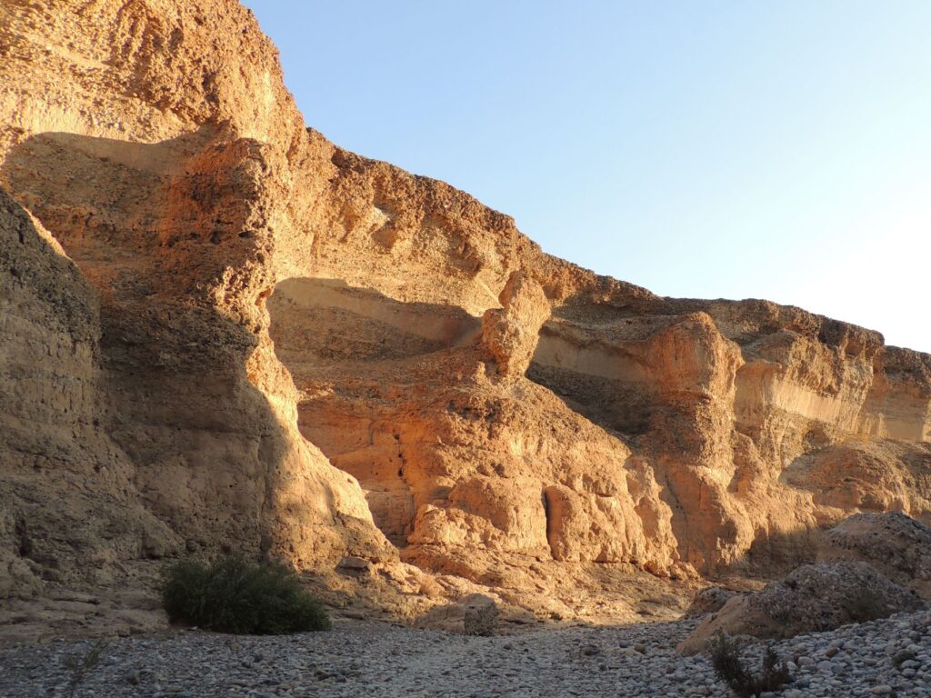 20150719_115316000_iOS