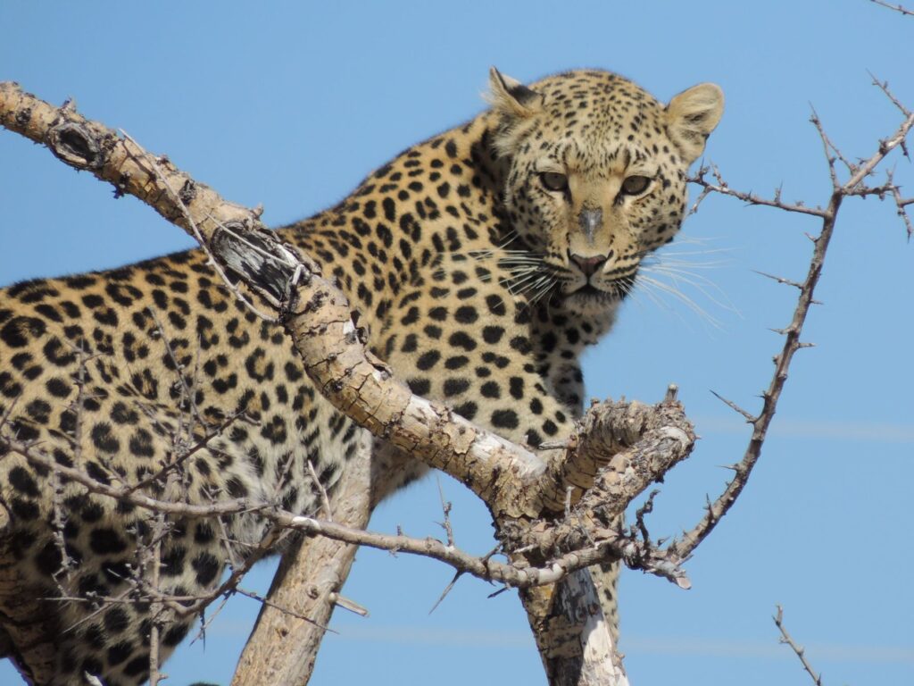 20150724_060722000_iOS