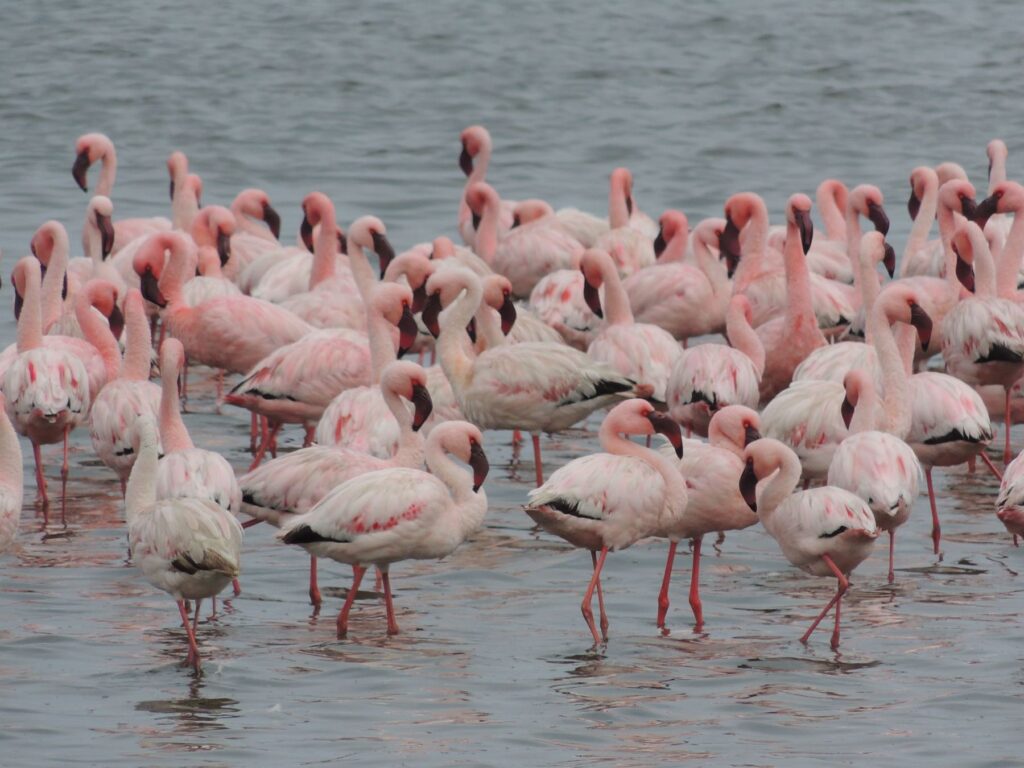 20150910_045325000_iOS