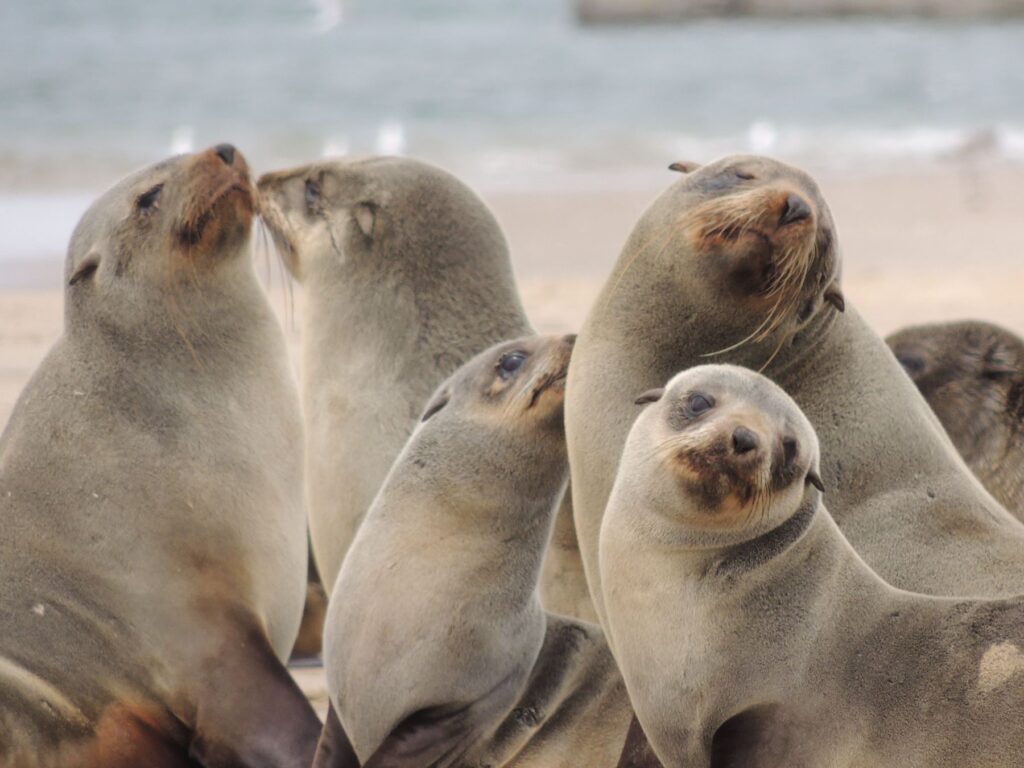 20150910_061845000_iOS