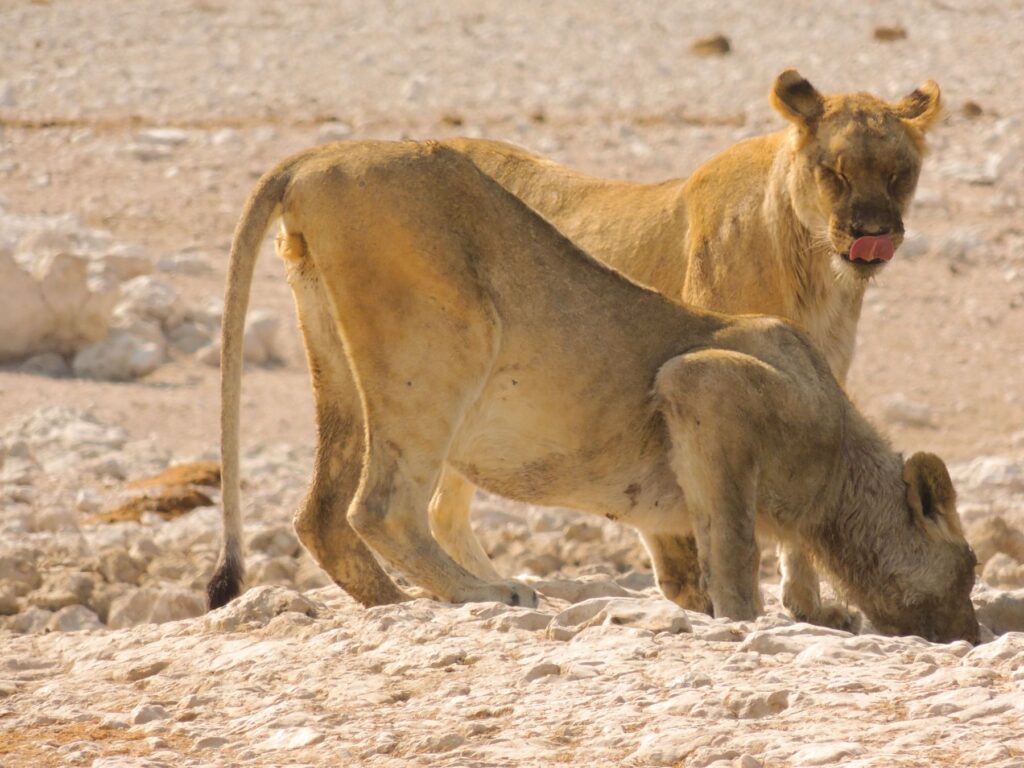 20150916_031754000_iOS