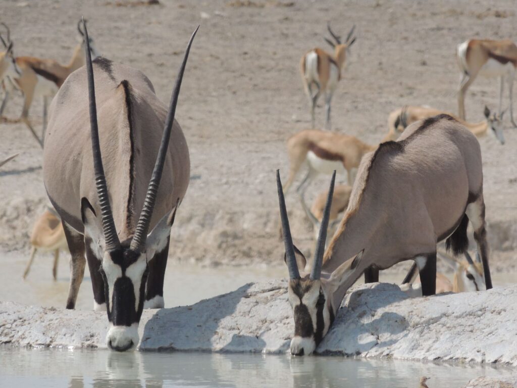 20150916_043044000_iOS