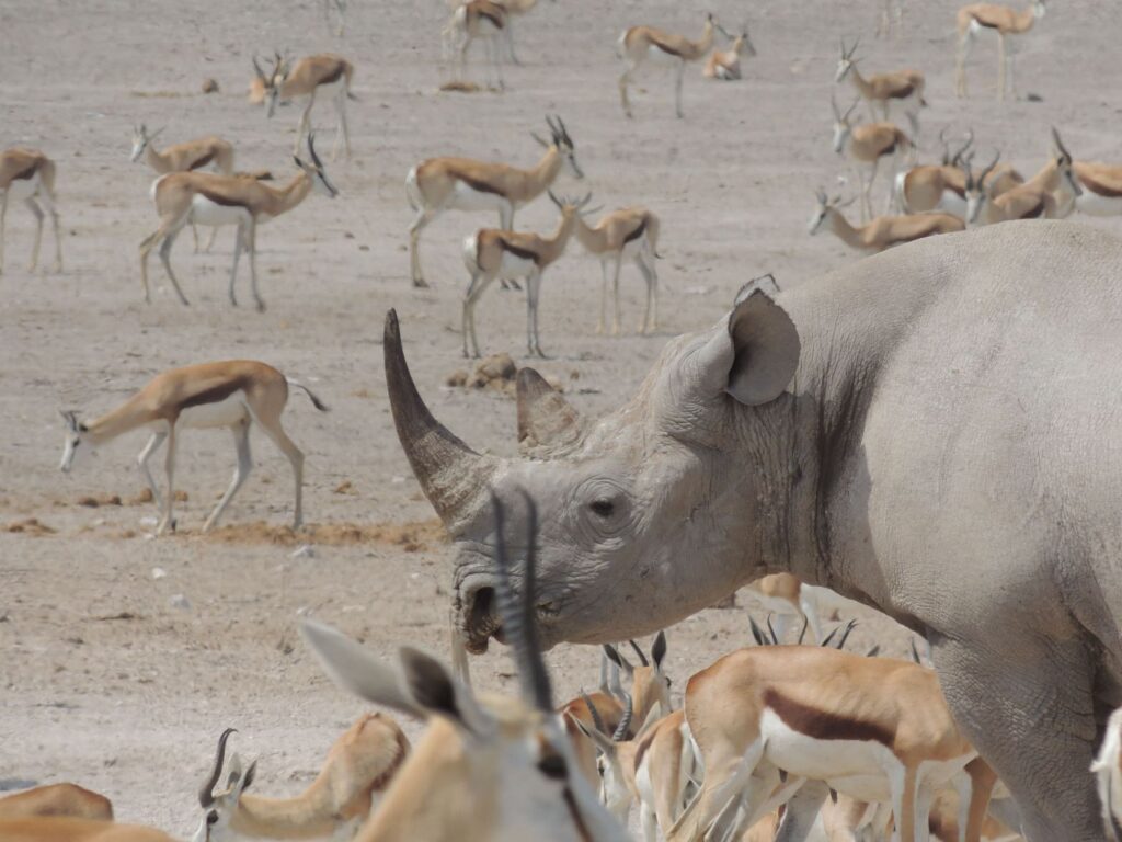 20150916_043858000_iOS