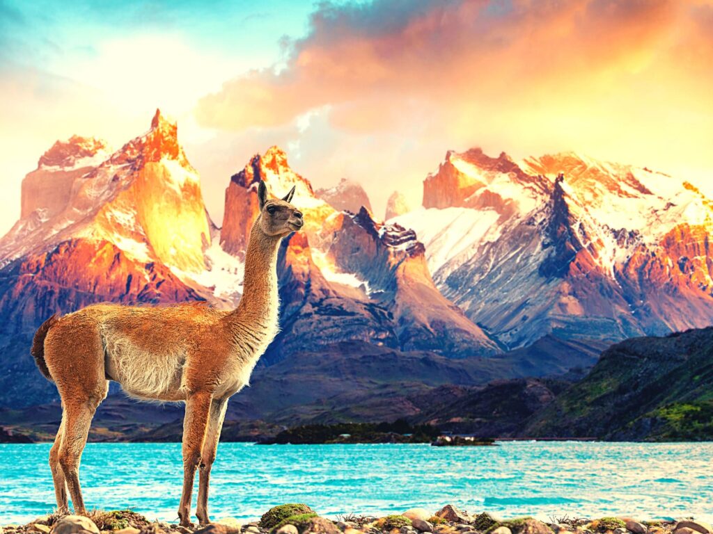 Aventura_Austral_albumb (2)