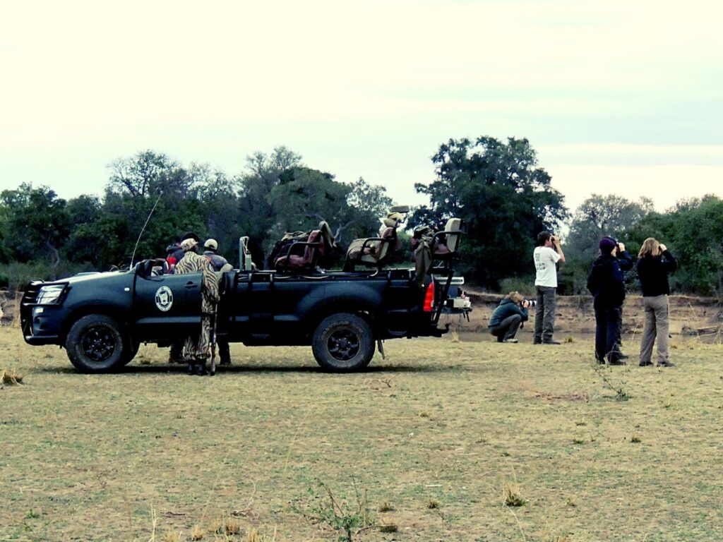 Safari Zambia_carrossel_ (14)