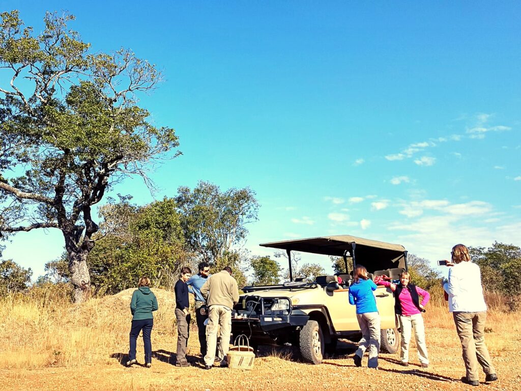 Safari Zambia_carrossel_ (2)