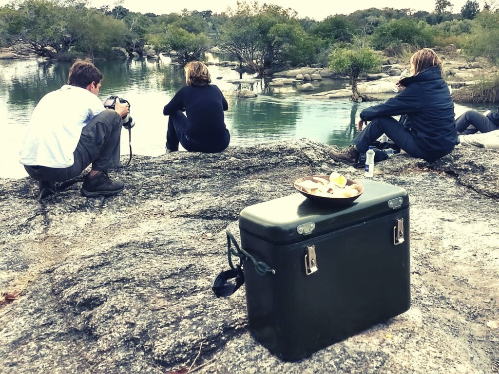 Safari Zambia_carrossel_ (9)