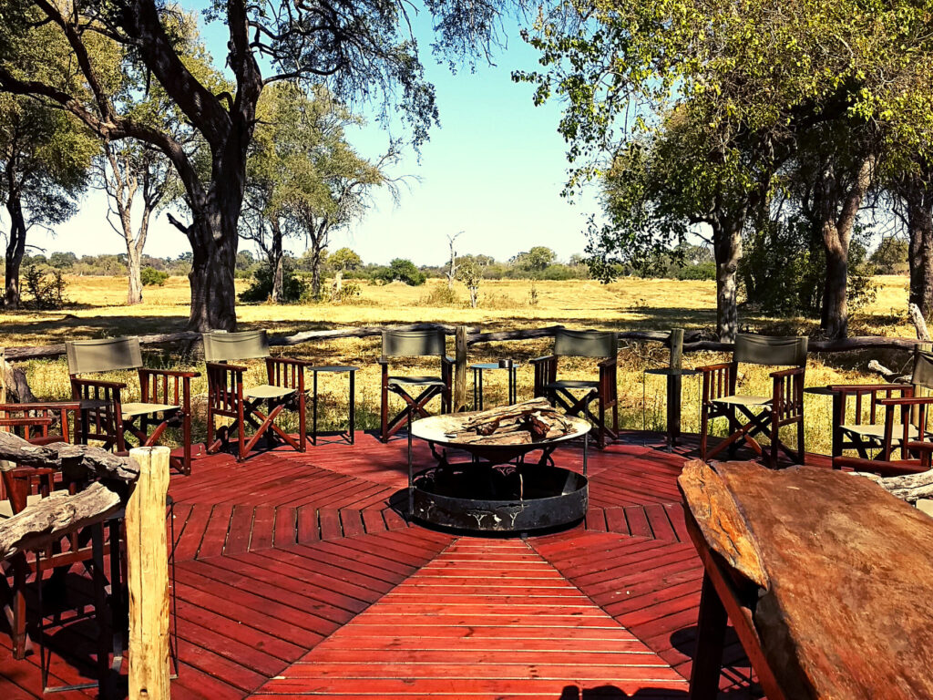 Safari_Botswana_album (12)