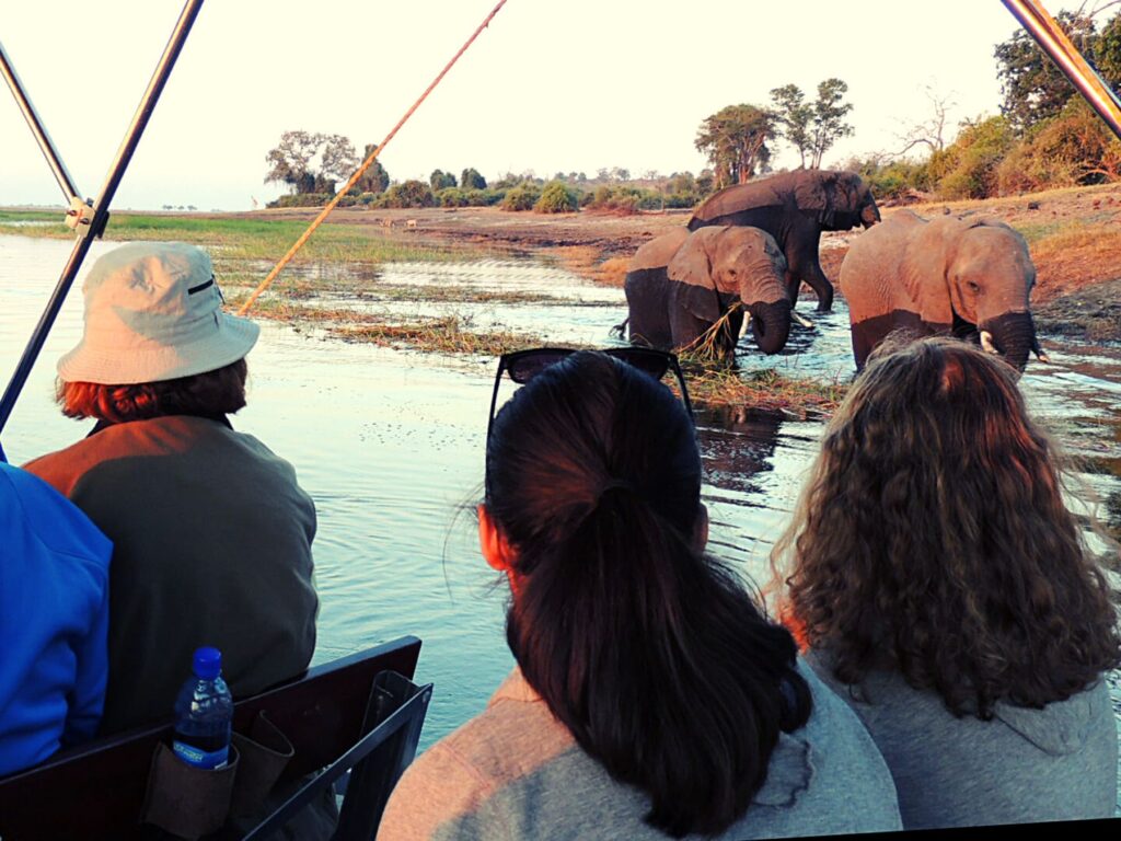 Safari_Botswana_album (14)