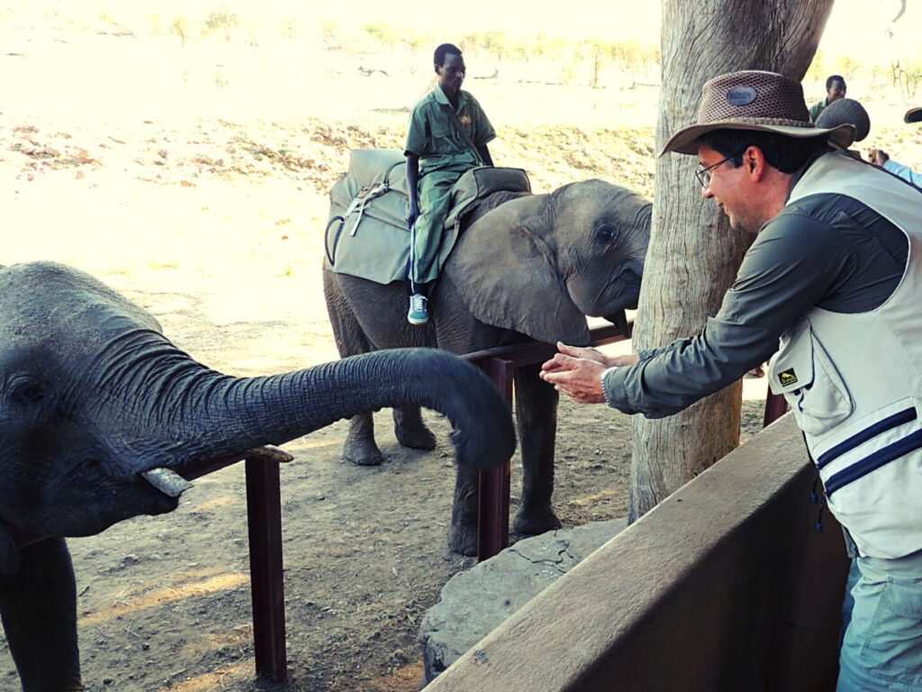 Safari_Botswana_album (17)