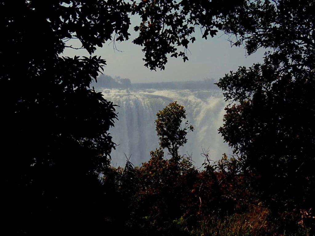 Safari_Botswana_album (20)