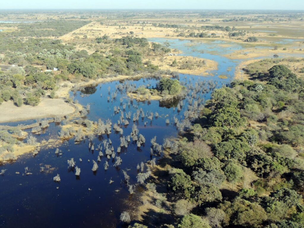 Safari_Botswana_album (27)