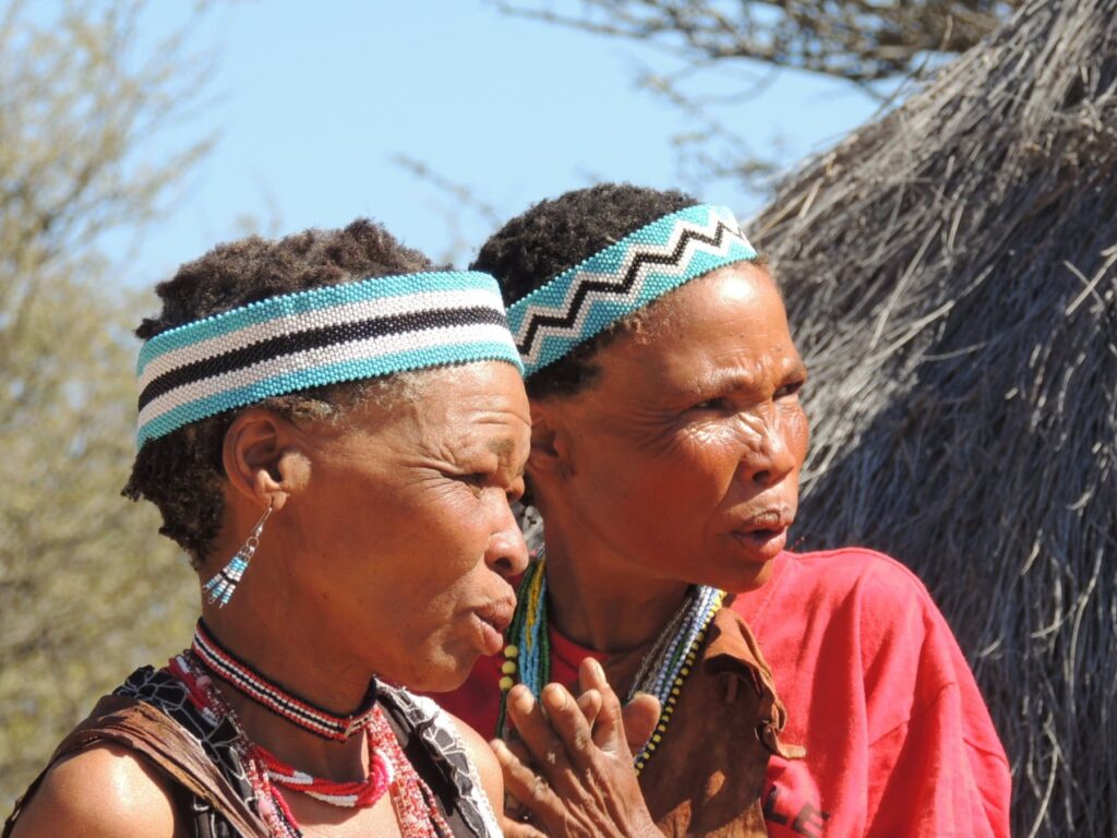 Safari_Botswana_album (4)