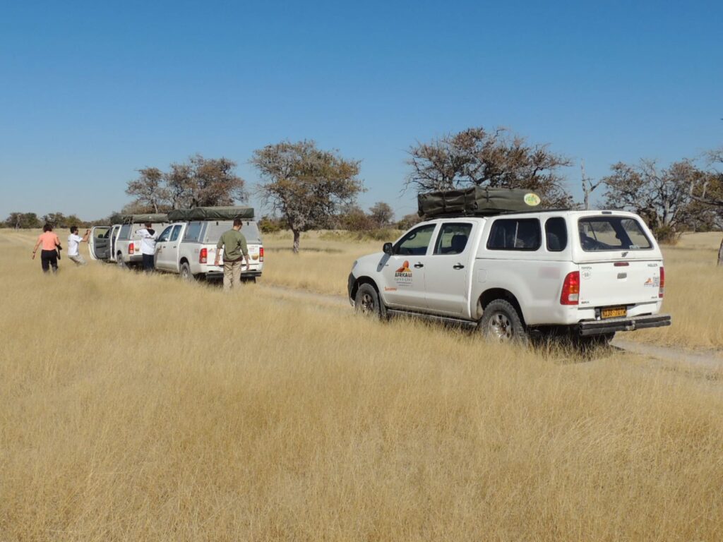 Safari_Botswana_album (6)