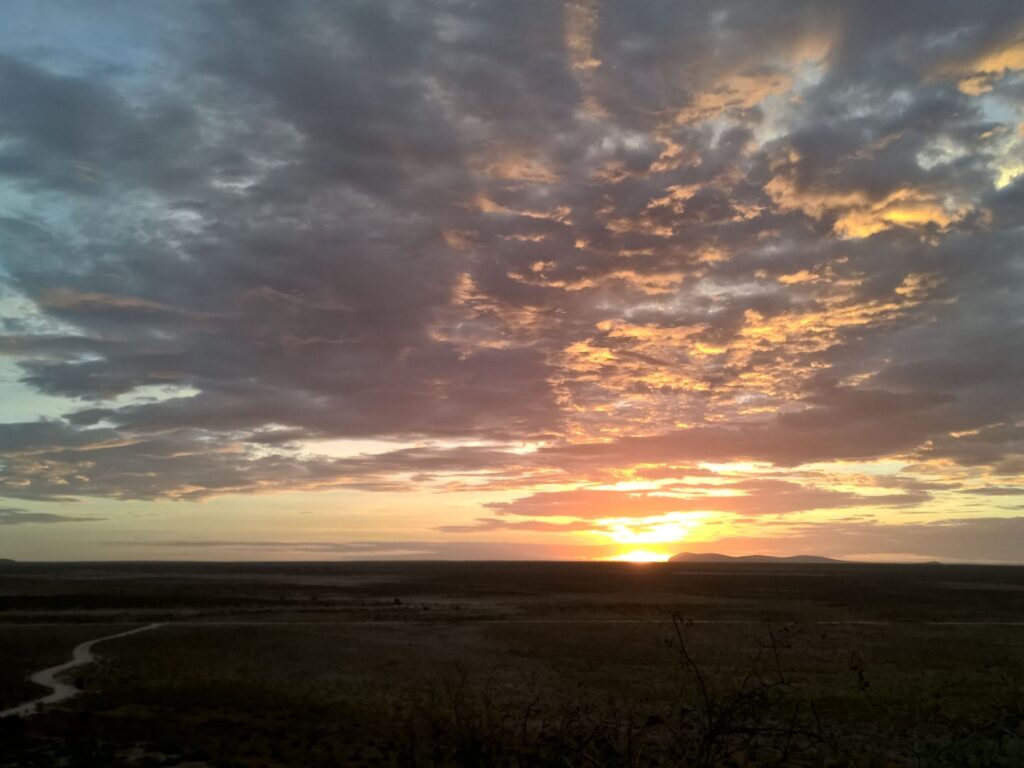 WP_20170207_19_40_53_Pro